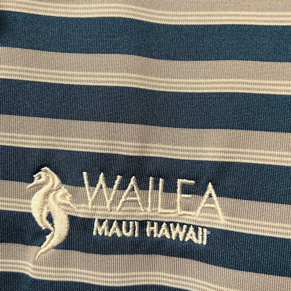 Adidas Rare Wailea Maui Hawaiian Striped Tournament Golf Polo Green,Gray & White - Picture 5 of 8
